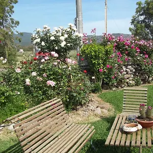 Il Vecchioliveto Di Ornella Marrùbiu